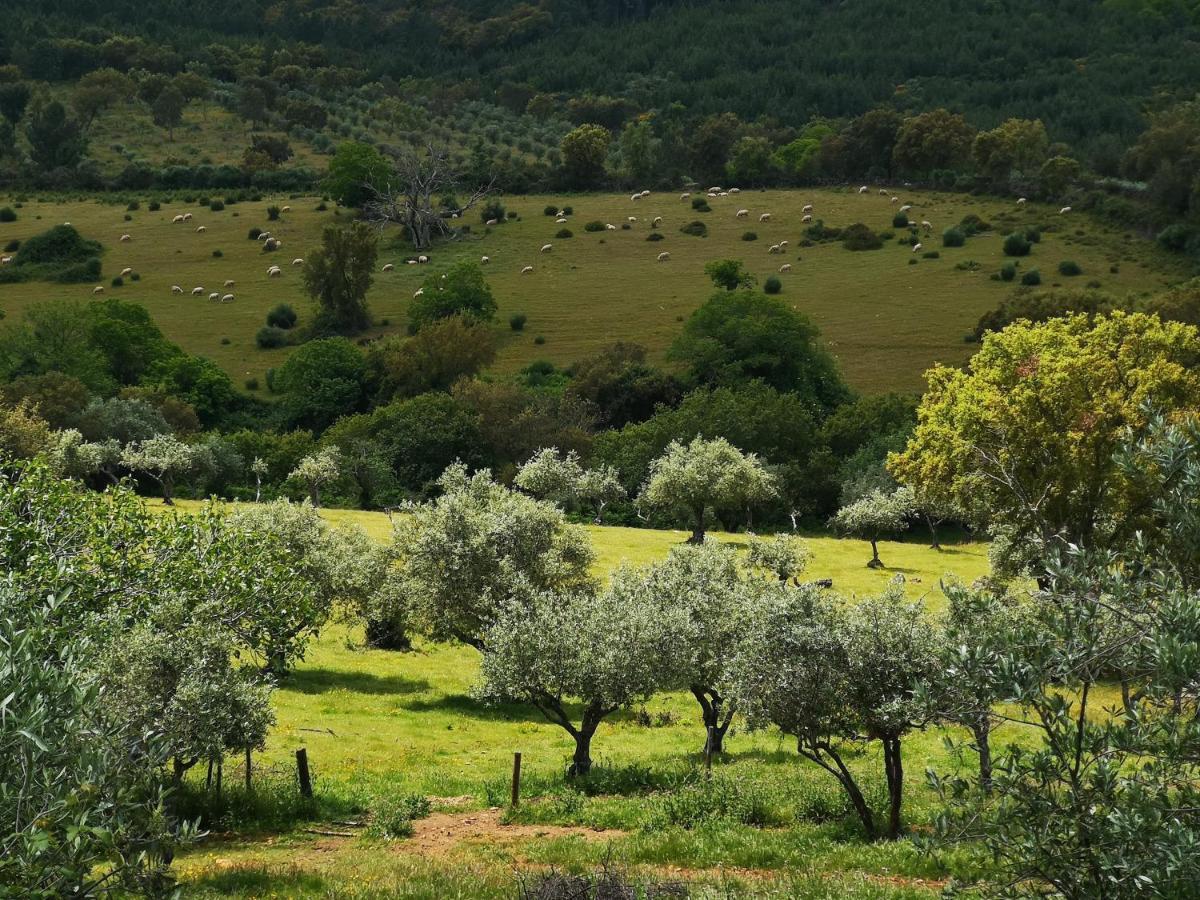 Monte Das Cascatas Marvão Екстериор снимка